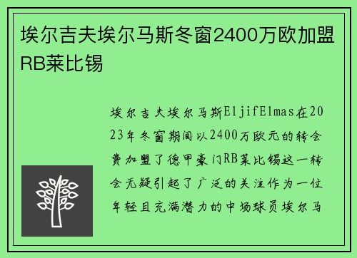 埃尔吉夫埃尔马斯冬窗2400万欧加盟RB莱比锡